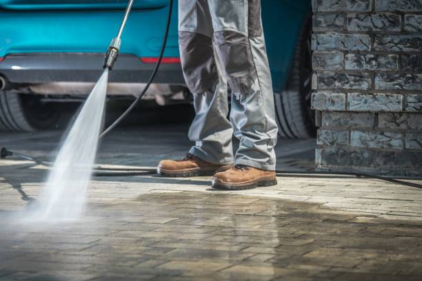 Best Sign and Awning Cleaning  in Winsted, MN